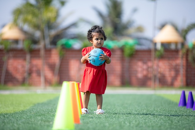意媒：伊布、费拉拉入选米兰冬奥会火炬传递阵容